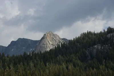 DSC_2970 (Large).JPG